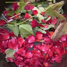 Gminne Przedszkole w Tarnowcu