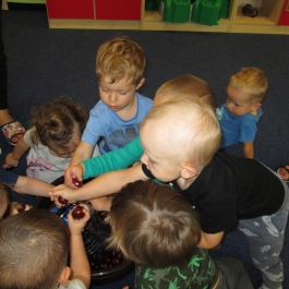 Gminne Przedszkole w Tarnowcu