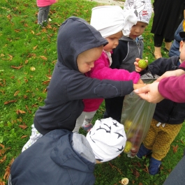 Gminne Przedszkole w Tarnowcu