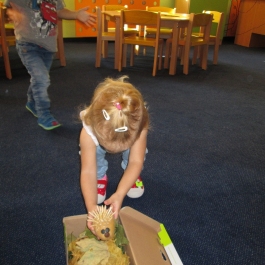 Gminne Przedszkole w Tarnowcu