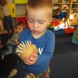 Gminne Przedszkole w Tarnowcu