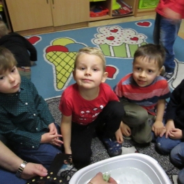 Gminne Przedszkole w Tarnowcu