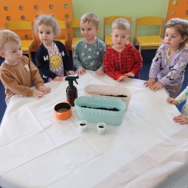 Siejemy owies wielkanocny