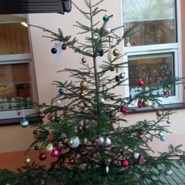 Gminne Przedszkole w Tarnowcu