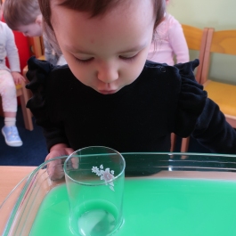 Gminne Przedszkole w Tarnowcu