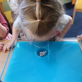 Gminne Przedszkole w Tarnowcu