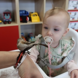 Gminne Przedszkole w Tarnowcu