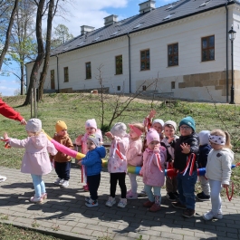 Polak mały