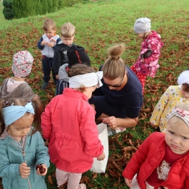 Gminne Przedszkole w Tarnowcu