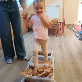 Gminne Przedszkole w Tarnowcu